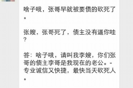 辽阳催收与卡农：探索背后的故事