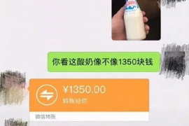 律师银行催收话术：高效沟通的艺术