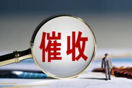 银行项目催收专员：揭秘金融行业的“幕后英雄”